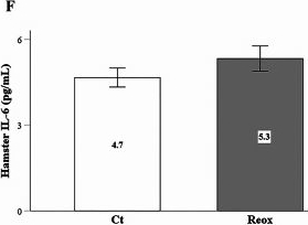Fig.3.F showing Enzyme-linked immunosorbent assay from the publication: In renal proximal tubular epithelial cells of the hibernator Syrian hamster, anoxia-reoxygenation-induced reactive oxygen species bursts do not trigger a DNA damage response and cellular senescence.