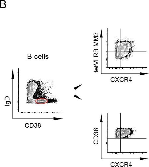 Fig.5.B showing Flow cytometry/Cell sorting from the publication: Detection of Human CD38 Using Variable Lymphocyte Receptor (VLR) Tetramers.