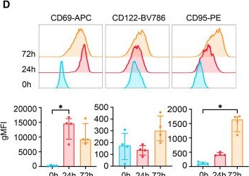 Fig.1.D showing Flow cytometry/Cell sorting in a Homo sapiens (Human) sample from the publication: Transcriptional and epigenetic control of human naïve CD8+ T cell activation.