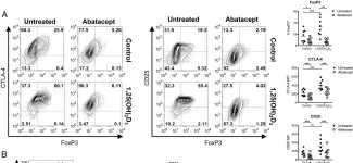 Fig.4.A showing Flow cytometry/Cell sorting from the publication: 1,25(OH)2D3 Promotes the Efficacy of CD28 Costimulation Blockade by Abatacept.