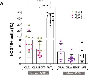 Fig.5.A from the publication: Hematopoietic stem cell gene editing rescues B-cell development in X-linked agammaglobulinemia.