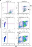 Fig.4.A showing Flow cytometry/Cell sorting in a Homo sapiens (Human) sample from the publication: Pomalidomide restores immune recognition of primary effusion lymphoma through upregulation of ICAM-1 and B7-2.