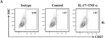 Fig.2.A showing Flow cytometry/Cell sorting from the publication: Hypoxia-Inducible Factor-2 Alpha Regulates the Migration of Fibroblast-like Synoviocytes via Oxidative Stress-Induced CD70 Expression in Patients with Rheumatoid Arthritis.