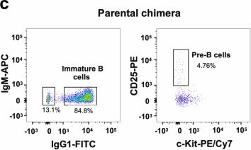Fig.5.C showing Flow cytometry/Cell sorting in a Mus musculus (House mouse) sample from the publication: Linear RAG scanning mediates editing of Igκ variable region repertoires.
