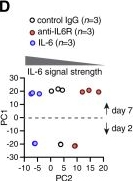 Fig.3.D from the publication: CD8+ T cell-intrinsic IL-6 signaling promotes resistance to anti-PD-L1 immunotherapy.