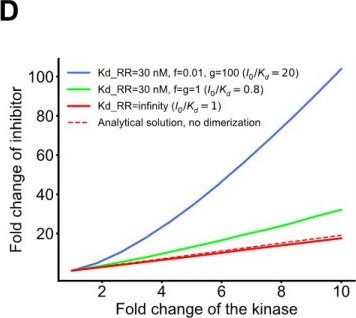 Fig.1.D from the publication: A Combination of Conformation-Specific RAF Inhibitors Overcome Drug Resistance Brought about by RAF Overexpression.