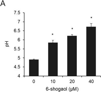 Fig.2.A from the publication: Effect of 6-Shogaol Derived from Ginger (Zingiber officinale) on Dual-Species Biofilm Formation by Streptococcus mutans and Candida albicans.