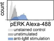 Fig.1.C showing Flow cytometry/Cell sorting in a Homo sapiens (Human) sample from the publication: Functional and clinical relevance of VLA-4 (CD49d/CD29) in ibrutinib-treated chronic lymphocytic leukemia.