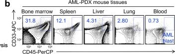 Fig.6.B showing Flow cytometry/Cell sorting in a Homo sapiens (Human) sample from the publication: Allogeneic CD33-directed CAR-NKT cells for the treatment of bone marrow-resident myeloid malignancies.