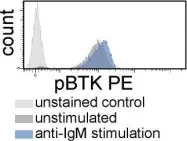 Fig.1.B showing Flow cytometry/Cell sorting in a Homo sapiens (Human) sample from the publication: Functional and clinical relevance of VLA-4 (CD49d/CD29) in ibrutinib-treated chronic lymphocytic leukemia.