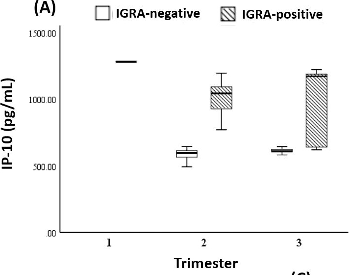 Fig.2.A showing Enzyme-linked immunosorbent assay from the publication: Exploring alternative cytokines as potential biomarkers for latent tuberculosis infection in pregnant women.
