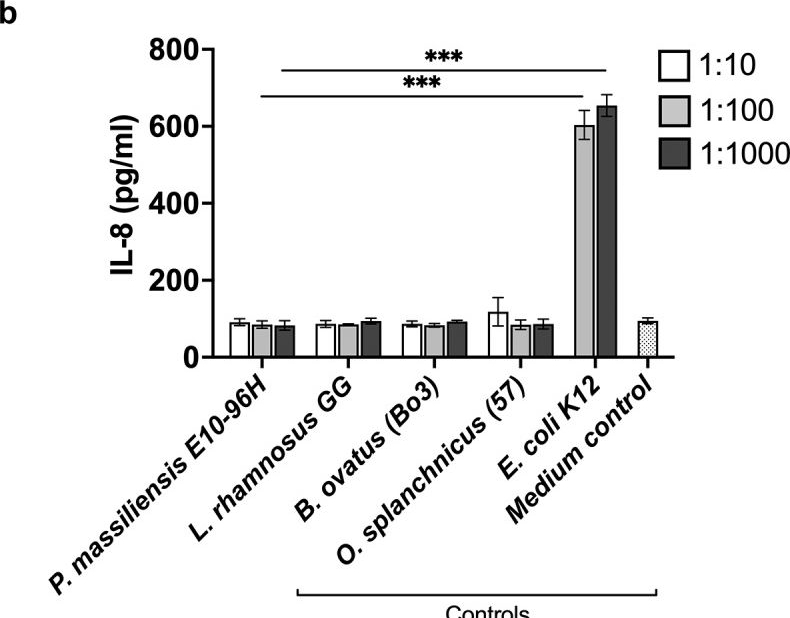 Fig.3.B showing Enzyme-linked immunosorbent assay from the publication: Novel strain of Pseudoruminococcus massiliensis possesses traits important in gut adaptation and host-microbe interactions.
