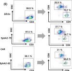 Fig.1.E showing Flow cytometry/Cell sorting from the publication: Developing CAR-T/NK cells that target EphA2 for non-small cell lung cancer treatment.