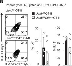 Fig.2.G showing Flow cytometry/Cell sorting from the publication: JunB Is Critical for Survival of T Helper Cells.