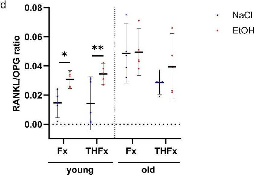 Fig.6.D showing Enzyme-linked immunosorbent assay in a Mus musculus (House mouse) sample from the publication: A single acute alcohol intoxication before fracture insult causes long-term elevated systemic RANKL and OPG levels in young adult mice.