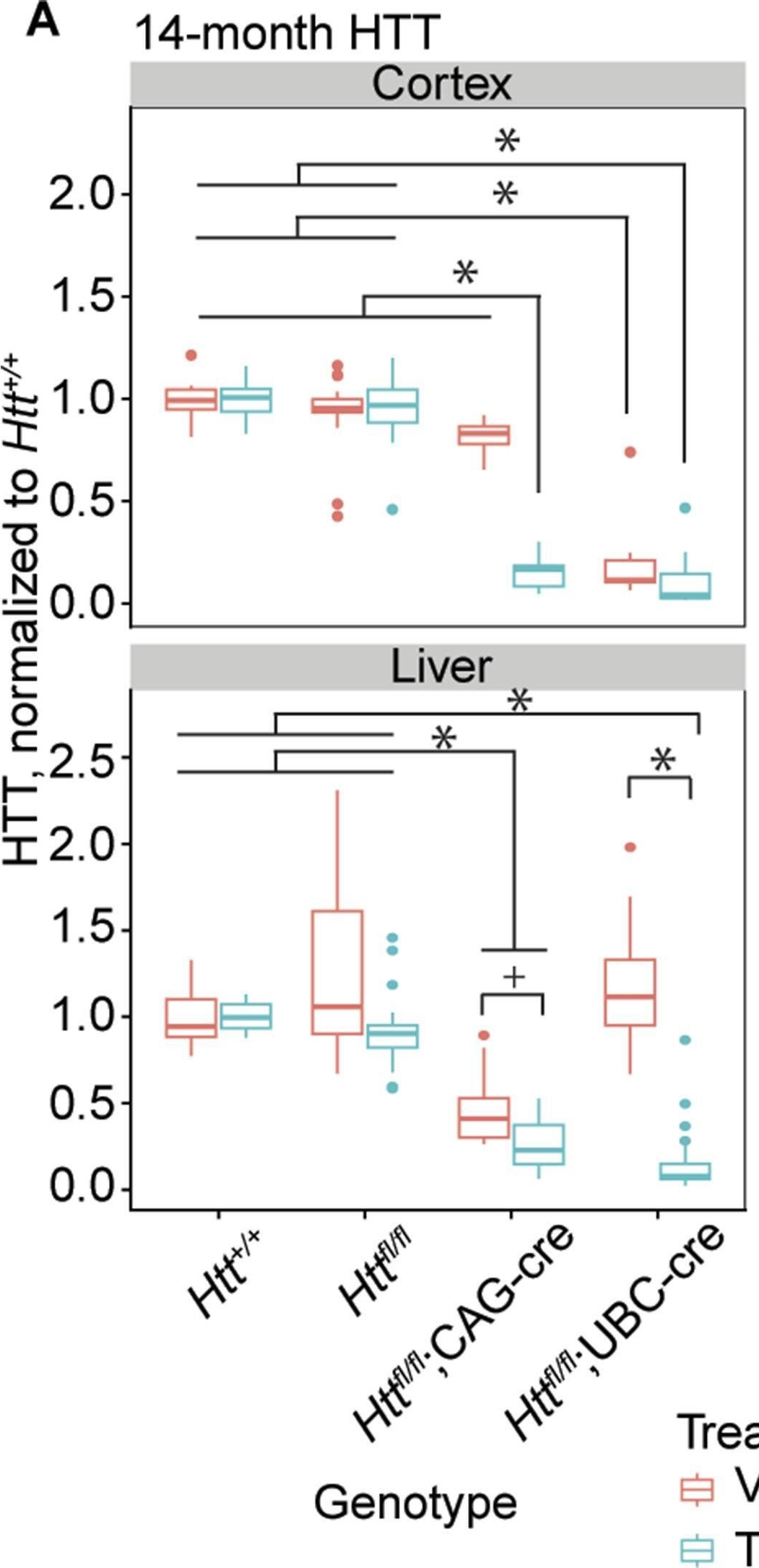 Fig.4.A from the publication: Global huntingtin knockout in adult mice leads to fatal neurodegeneration that spares the pancreas.