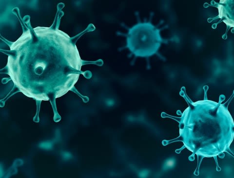 Article image: Which are the top Cited SARS-COV-2 Antibodies?