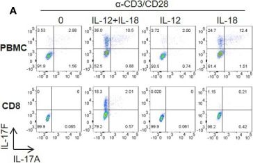 Fig.2.A showing Flow cytometry/Cell sorting from the publication: Interleukin (IL)-12 and IL-18 Synergize to Promote MAIT Cell IL-17A and IL-17F Production Independently of IL-23 Signaling.