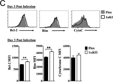 Fig.5.C showing Flow cytometry/Cell sorting in a Mus musculus (House mouse) sample from the publication: HIF1α is required for NK cell metabolic adaptation during virus infection.