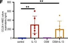 Fig.6.F from the publication: Neutrophils in nasal polyps exhibit transcriptional adaptation and proinflammatory roles that depend on local polyp milieu.