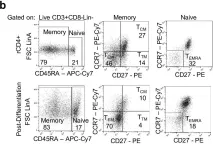 Fig.1.B showing Flow cytometry/Cell sorting in a Homo sapiens (Human) sample from the publication: Effector memory differentiation increases detection of replication-competent HIV-l in resting CD4+ T cells from virally suppressed individuals.