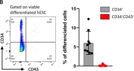 Fig.1.B showing Flow cytometry/Cell sorting from the publication: Toward a better definition of hematopoietic progenitors suitable for B cell differentiation.