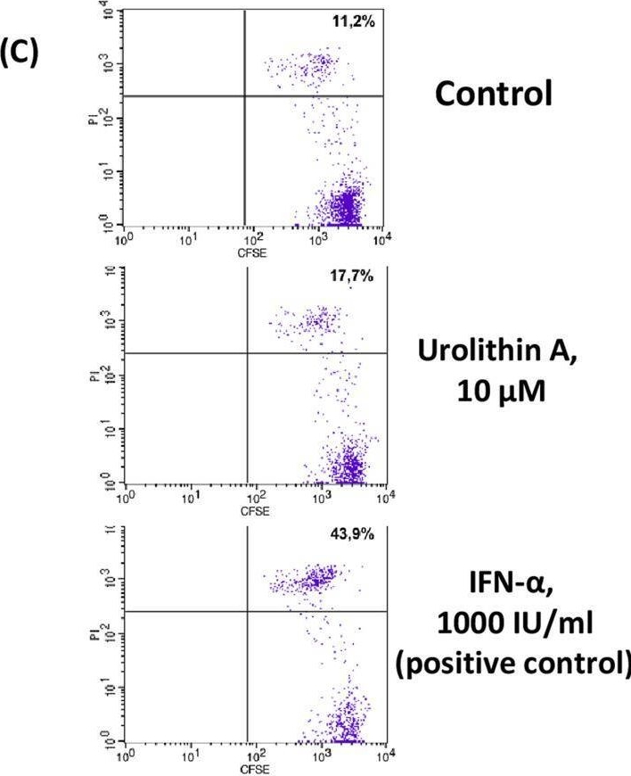 Fig.2.C showing Flow cytometry/Cell sorting from the publication: Urolithin A increases the natural killer activity of PBMCs in patients with prostate cancer.