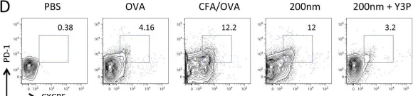 Fig.7.D showing Flow cytometry/Cell sorting from the publication: Antigen presentation kinetics control T cell/dendritic cell interactions and follicular helper T cell generation in vivo.