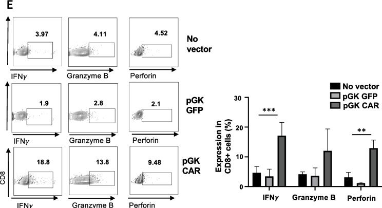 Fig.3.E showing Flow cytometry/Cell sorting in a Mus musculus (House mouse) sample from the publication: In vivo CAR T cell therapy against angioimmunoblastic T cell lymphoma.