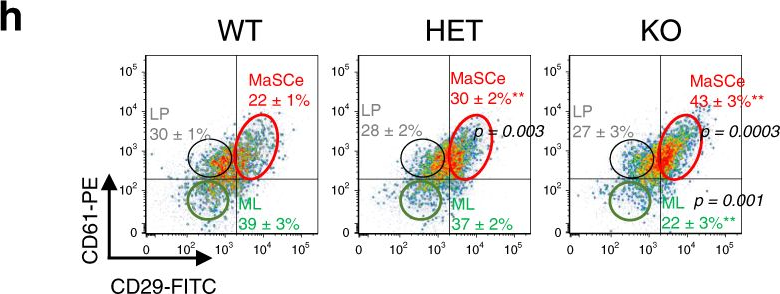 Fig.1.H showing Flow cytometry/Cell sorting in a Mus musculus (House mouse) sample from the publication: TET2 directs mammary luminal cell differentiation and endocrine response.