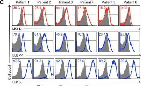 Fig.1.C showing Flow cytometry/Cell sorting from the publication: Stem cell engineering for the generation of allogeneic CAR-directed natural killer T cells targeting endometrial carcinoma.