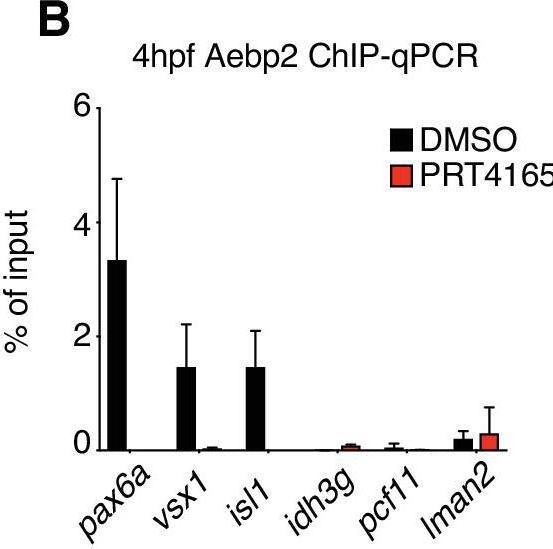 Fig.4.B from the publication: Establishment of developmental gene silencing by ordered polycomb complex recruitment in early zebrafish embryos.