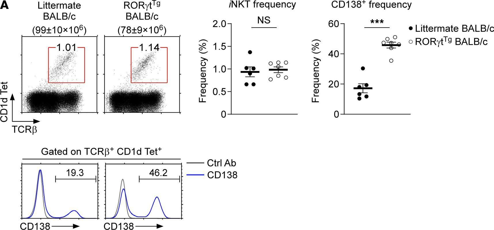 Fig.5.A showing Flow cytometry/Cell sorting from the publication: CD138 expression is a molecular signature but not a developmental requirement for RORγt+ NKT17 cells.