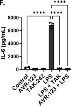 Fig.3.F showing Enzyme-linked immunosorbent assay from the publication: Novel Small Molecules with Anti-Inflammatory and Anti-Angiogenic Activity in a Mouse Model of Oxygen-Induced Retinopathy.