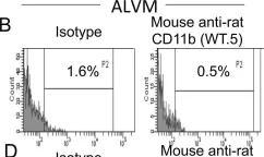 Fig.1.B showing Flow cytometry/Cell sorting from the publication: Mucosal immunization with live attenuated Francisella novicida U112ΔiglB protects against pulmonary F. tularensis SCHU S4 in the Fischer 344 rat model.
