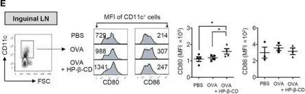 Fig.5.E showing Flow cytometry/Cell sorting from the publication: Induction of Dendritic Cell Maturation and Activation by a Potential Adjuvant, 2-Hydroxypropyl-β-Cyclodextrin.