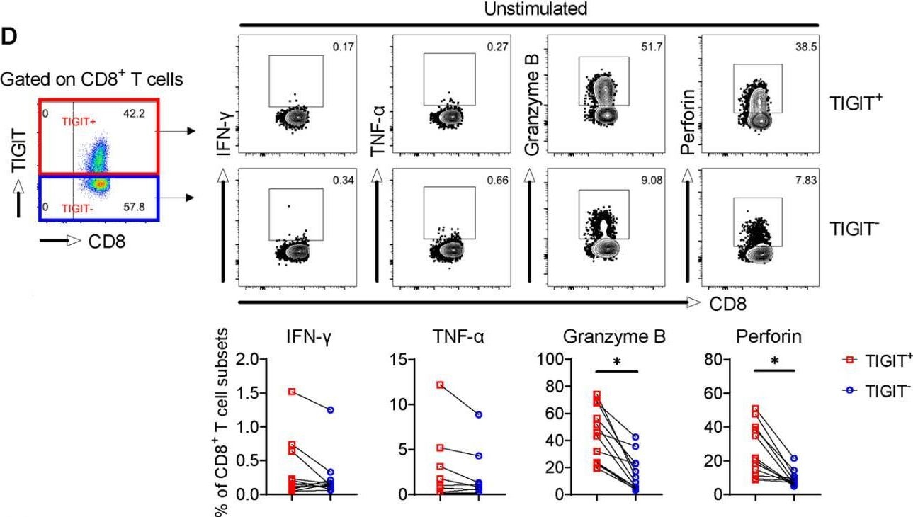 Fig.2.D showing Flow cytometry/Cell sorting from the publication: TIGIT blockade improves anti-Mycobacterium tuberculosis immunity.