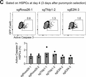 Fig.5.C showing Flow cytometry/Cell sorting from the publication: In vivo CRISPR/Cas9-mediated screen reveals a critical function of TFDP1 and E2F4 transcription factors in hematopoiesis.