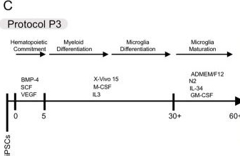 Fig.1.C from the publication: Dysregulated Expression of Inflammasome and Extracellular Matrix Genes in C9orf72-ALS/FTD Microglia.