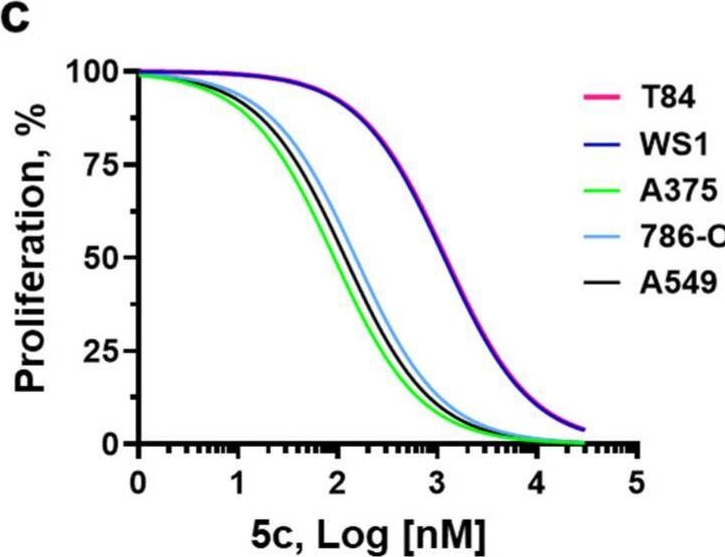 Fig.2.C from the publication: HDAC/σ1R Dual-Ligand as a Targeted Melanoma Therapeutic.