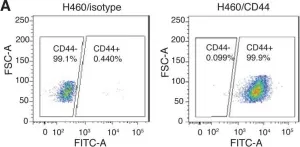 Fig.4.A showing Flow cytometry/Cell sorting from the publication: The microRNA miR-34a inhibits non-small cell lung cancer (NSCLC) growth and the CD44hi stem-like NSCLC cells.