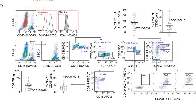Fig.3.D showing Flow cytometry/Cell sorting in a Homo sapiens (Human) sample from the publication: The molecular and functional landscape of resistance to immune checkpoint blockade in melanoma.