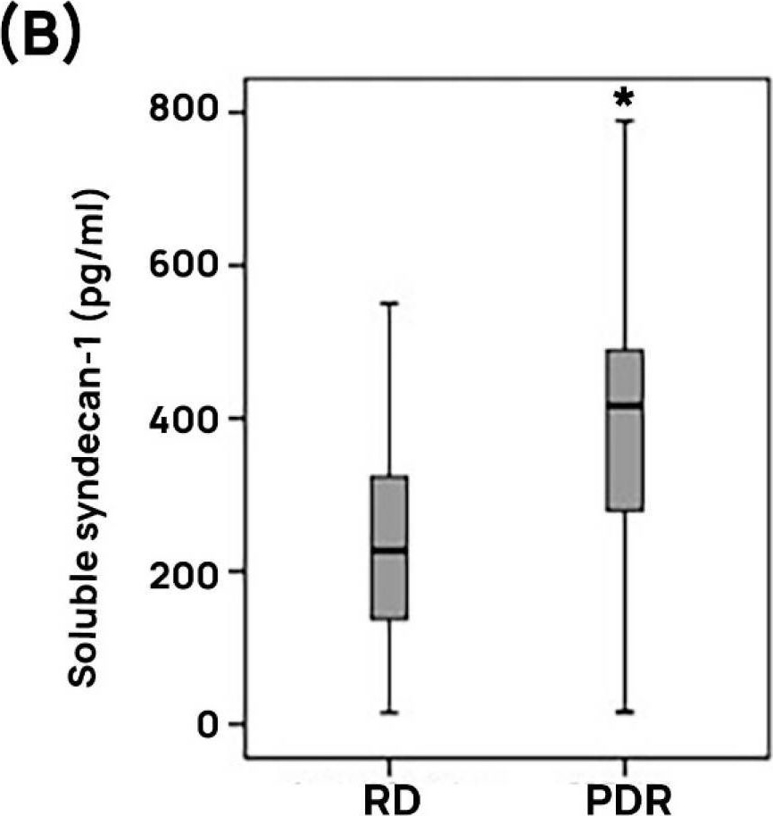 Fig.3.B showing Enzyme-linked immunosorbent assay from the publication: ADAMTS13 Improves Endothelial Function and Reduces Inflammation in Diabetic Retinopathy.