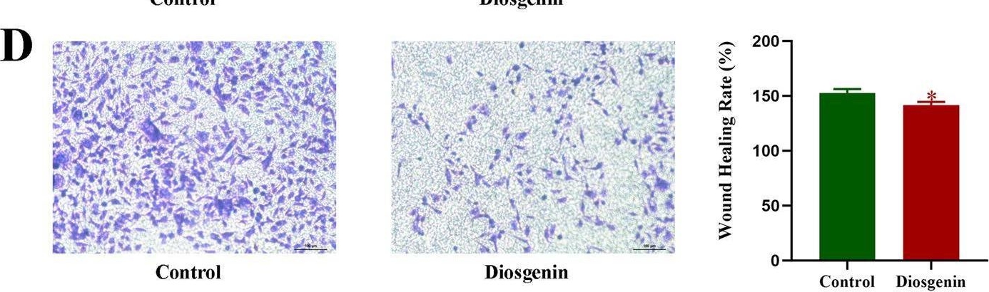 Fig.9.D showing Immunohistochemistry from the publication: Exploring the anti-gastric cancer mechanisms of Diosgenin through integrated network analysis, bioinformatics, single-cell sequencing, and cell experiments.