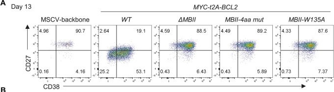 Fig.7.A showing Flow cytometry/Cell sorting in a Homo sapiens (Human) sample from the publication: Enforced MYC expression directs a distinct transcriptional state during plasma cell differentiation.