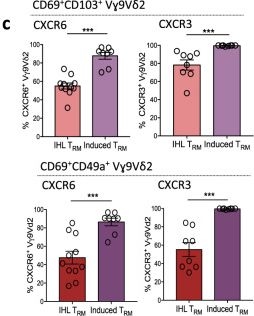 Fig.7.C showing Flow cytometry/Cell sorting from the publication: Characterisation and induction of tissue-resident gamma delta T-cells to target hepatocellular carcinoma.