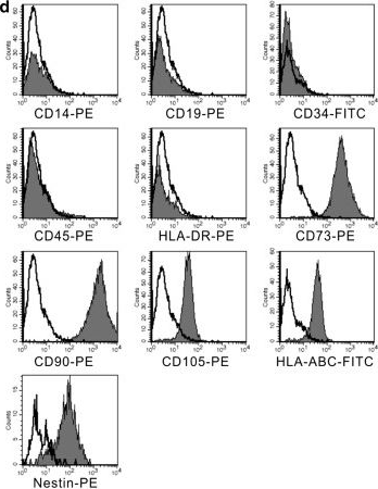 Fig.2.D showing Flow cytometry/Cell sorting in a Homo sapiens (Human) sample from the publication: Human mesenchymal stem cells possess different biological characteristics but do not change their therapeutic potential when cultured in serum free medium.
