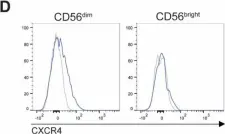 Fig.3.D showing Flow cytometry/Cell sorting from the publication: Transcriptional signature of rapidly responding NK cells reveals S1P5 and CXCR4 as anti-tumor response disruptors.