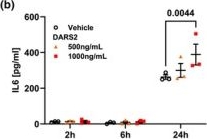 Fig.4.B showing Enzyme-linked immunosorbent assay from the publication: Secreted mitochondrial aspartyl-tRNA synthetase (DARS2) regulates TNFα signaling.