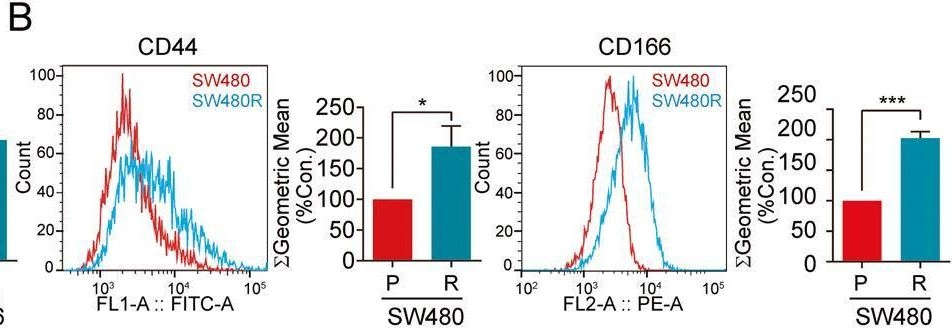 Fig.4.B showing Flow cytometry/Cell sorting in a Homo sapiens (Human) sample from the publication: c-Fos regulated by TMPO/ERK axis promotes 5-FU resistance via inducing NANOG transcription in colon cancer.